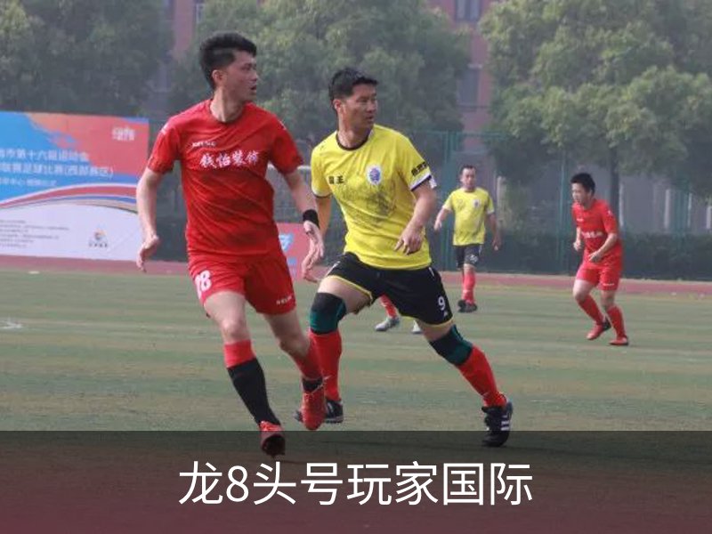 龙8头号玩家国际介绍